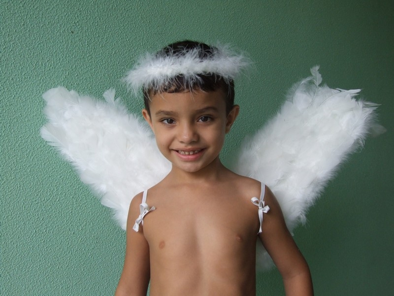 Asa Branca de Anjo Preço Araraquara - Asa de Anjo Infantil