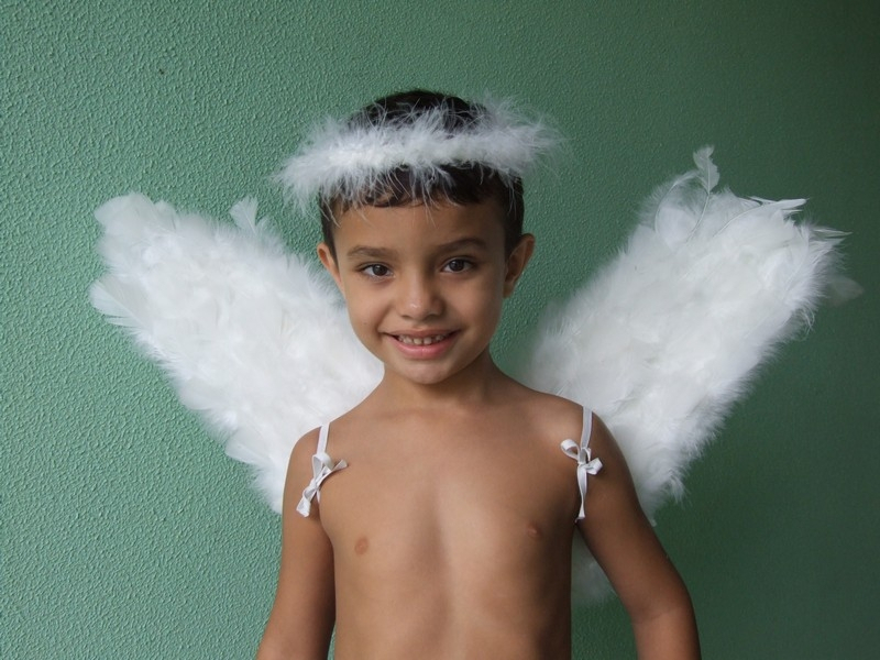 Asa Branca de Anjo Preço São Mateus - Asas de Anjo Pequena