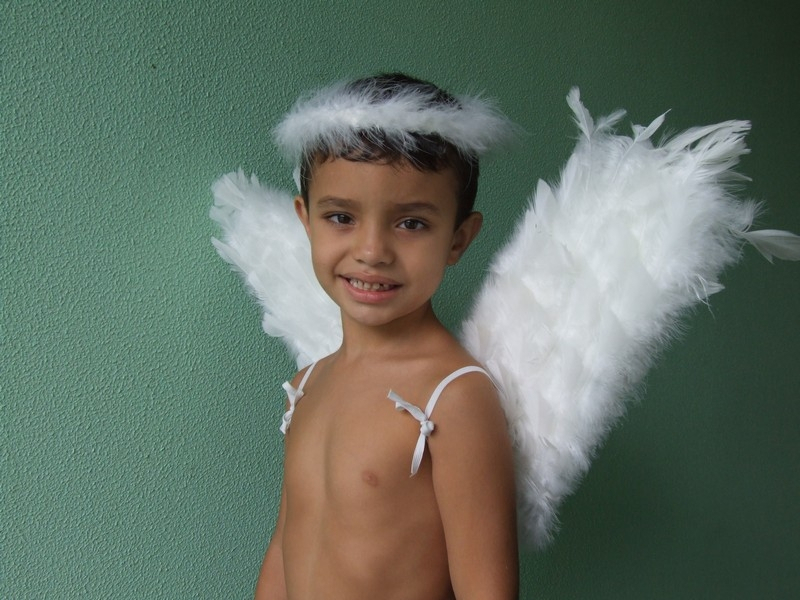 Asas de Anjo para Fantasia Preço Brasília - Asa de Anjo Preta Fantasia