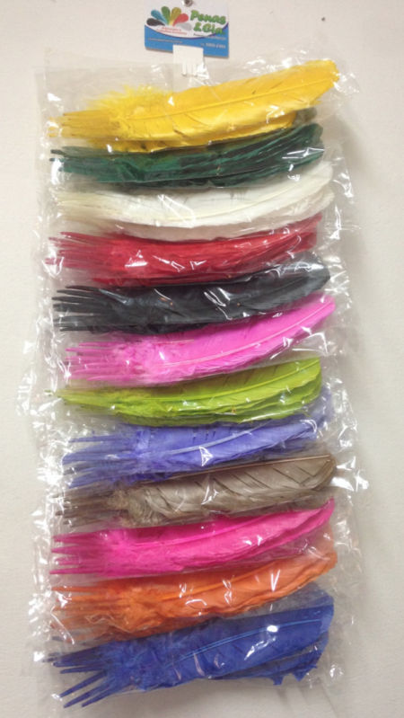 Comprar Pacote de Penas Coloridas Rio Claro - Pacote de Penas para Decoração