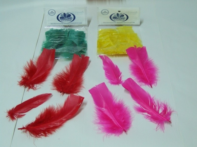 Comprar Pluma para Festa M'Boi Mirim - Comprar Plumas para Formatura