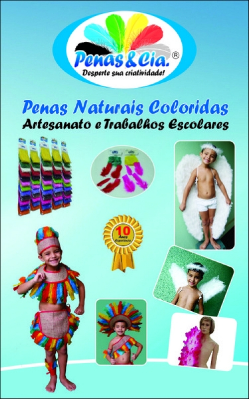 Fabricante de Saco de Pena Colorida Vale do Paraíba - Pena Colorida para Festa