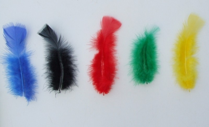 Pacotes de Penas Coloridas para Artesanato Preços Bahia - Estolas de Penas para Balada