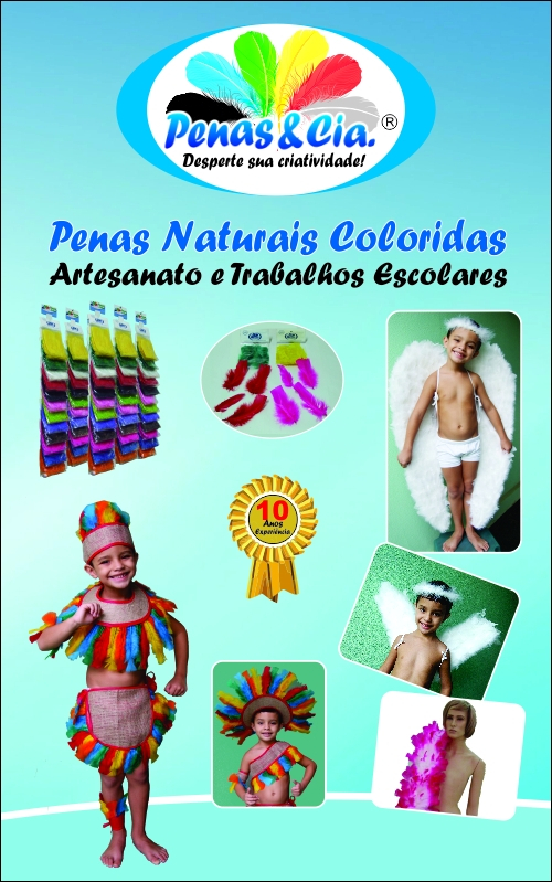 Pena para Carnaval Guaianazes - Penas para Flechas