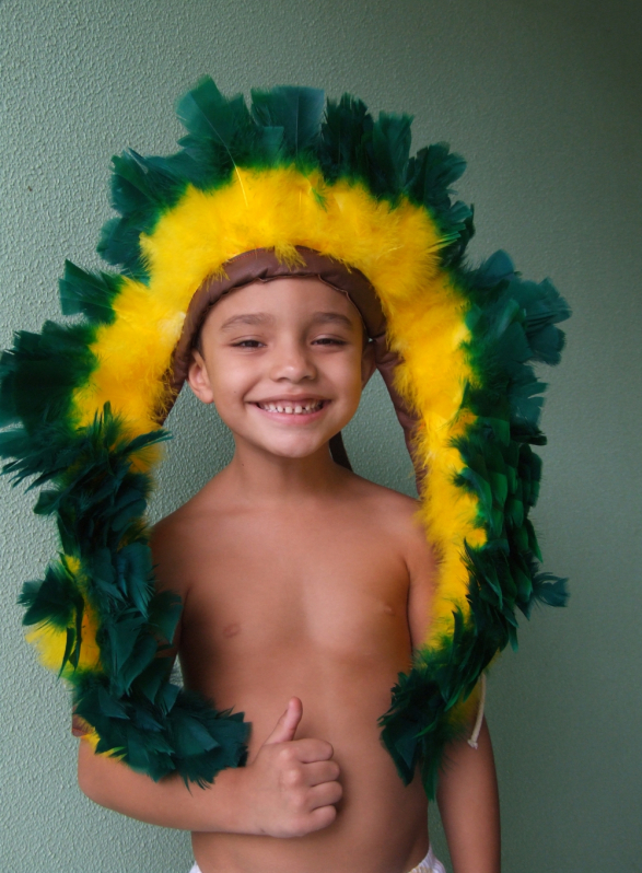 Penas para Cocar São Domingos - Penas para Decoração de Festas