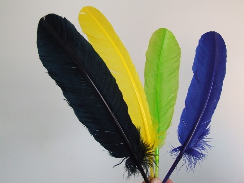 Plumas para Roupas Jockey Club - Plumas para Carnaval