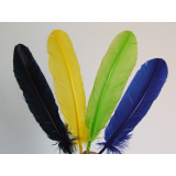 pacotes de penas coloridas para artesanato Presidente Prudente