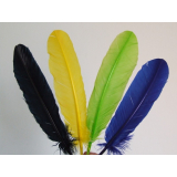 plumas para carnaval Vila Lusitania