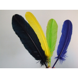 plumas para roupas Parque São Rafael